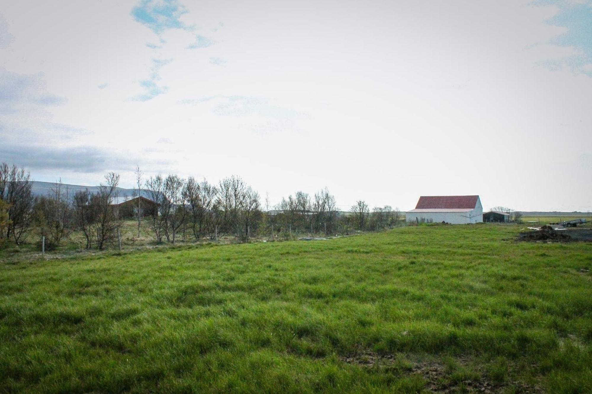 Sun-Cottage South Iceland Olfus Exterior foto